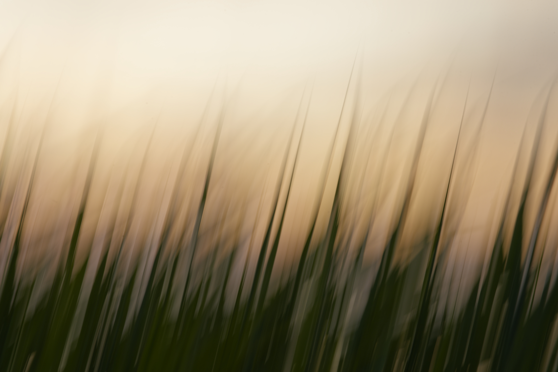 Öland – so viel mehr als ödes Land