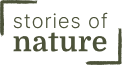 Logo Stories of nature