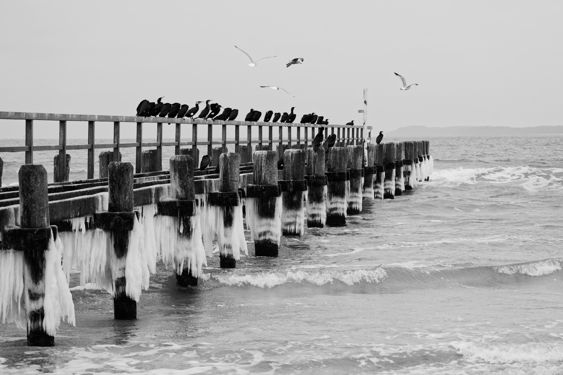 Frozen. Eiskalte Wintertage.