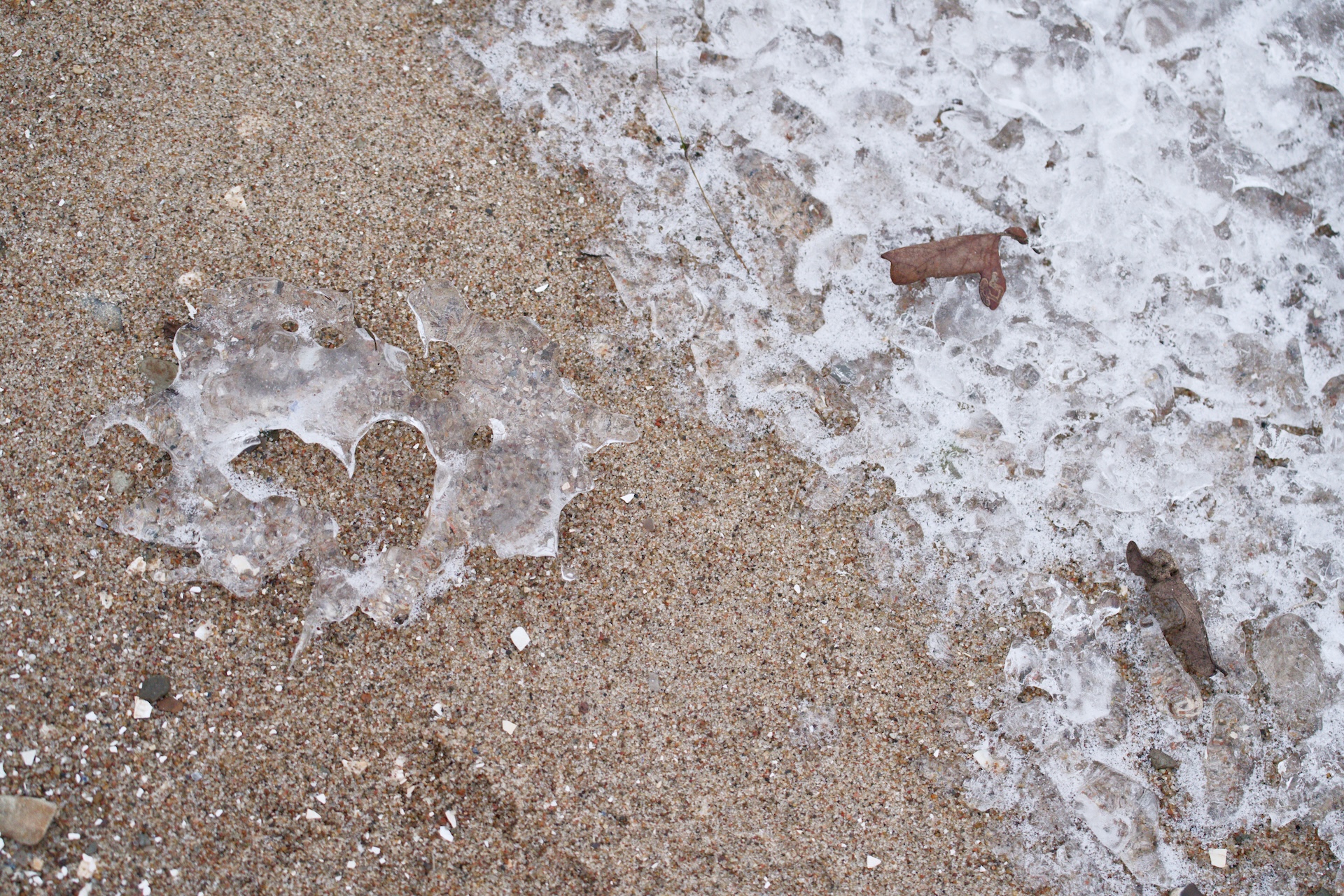 Das Glockenspiel der Ostsee